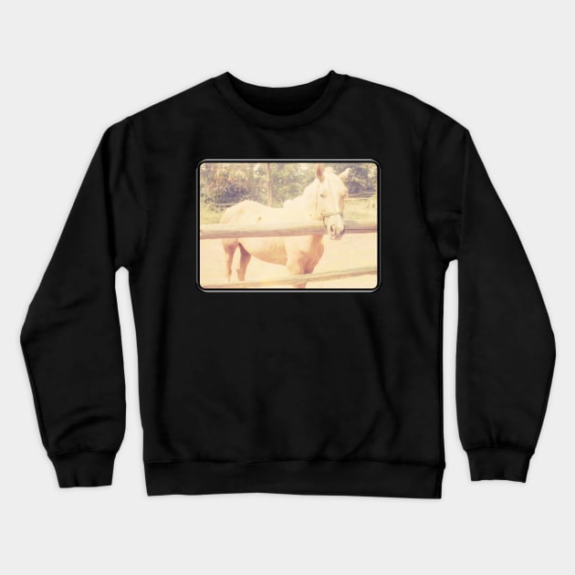 Retro Palomino Horse at Fence Crewneck Sweatshirt by The Golden Palomino